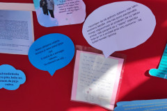 IMG-20220512-WA0006